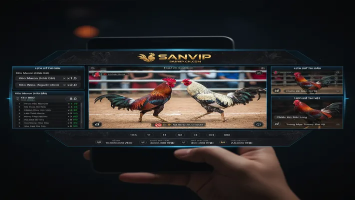 Những Lưu Ý Vàng Khi Cược Đá Gà Online Tại Sanvip